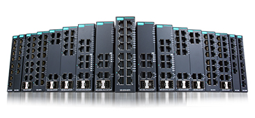 Layer 2 Smart Switches